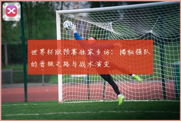 世界杯欧预赛独家专访：揭秘强队的晋级之路与战术演变