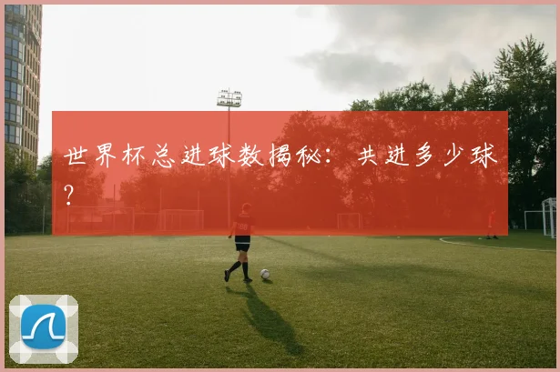 世界杯总进球数揭秘:共进多少球?