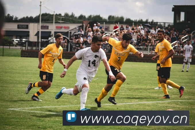 开云官方在线登陆入口发展历程